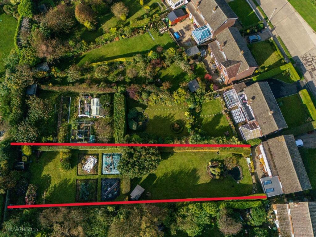 DJI_0965.jpg