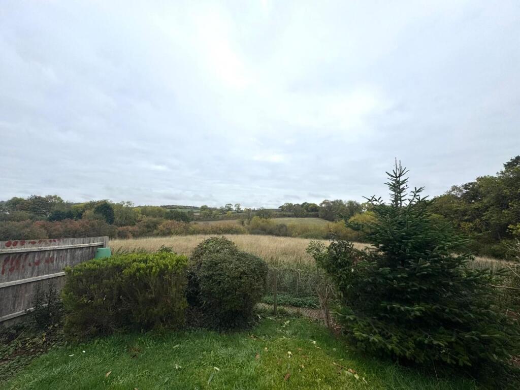 garden 2.jpg
