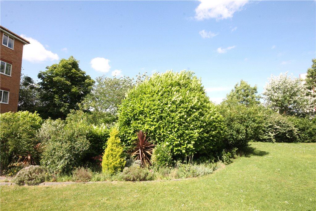 Communal Garden