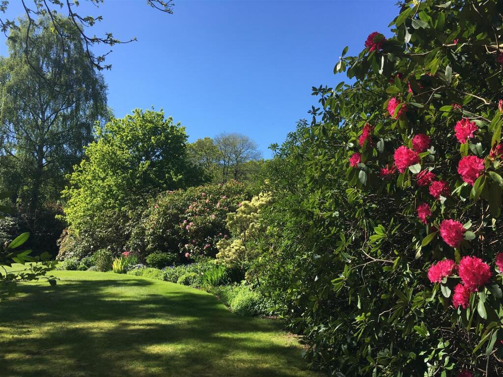 garden 4.jpg