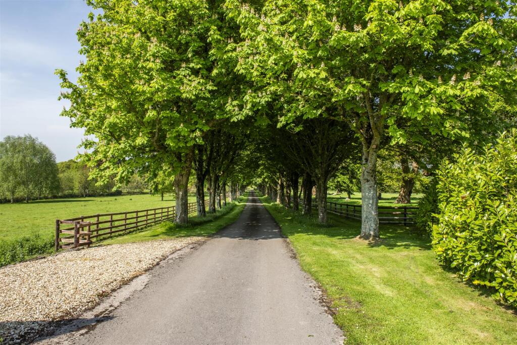 Avenue crop bottom off _DS02002.JPG