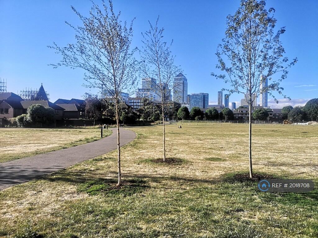 Bartlett Park 