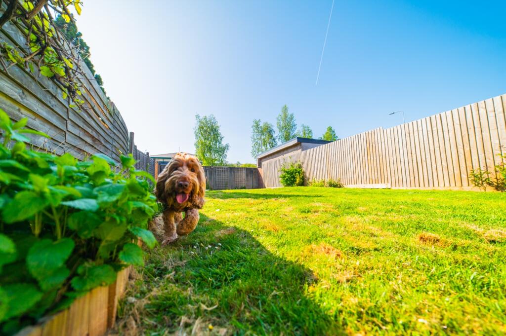 Award-winning Media team on EVERY Listing_6