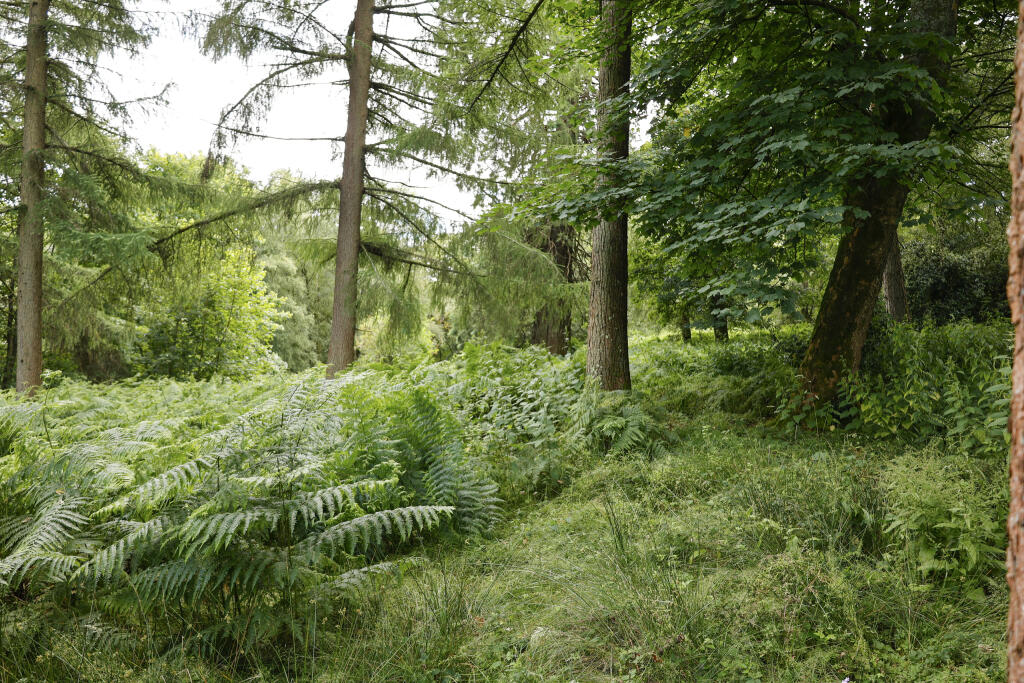 Tennysons Lane, Haselmere, GU27 3AF NB 20