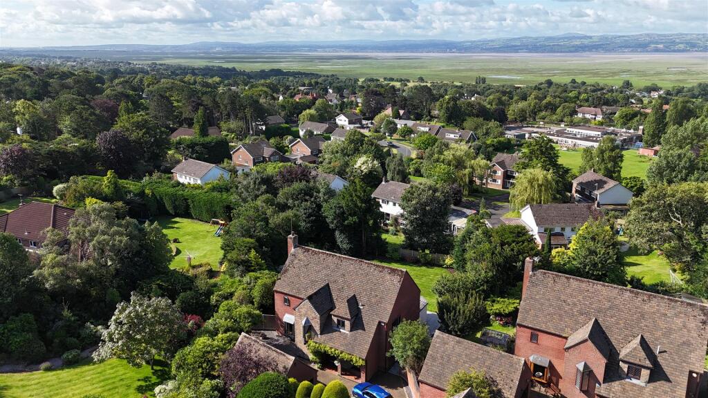 dji_fly_20240726_094556_0428_1722007238383_photo.j