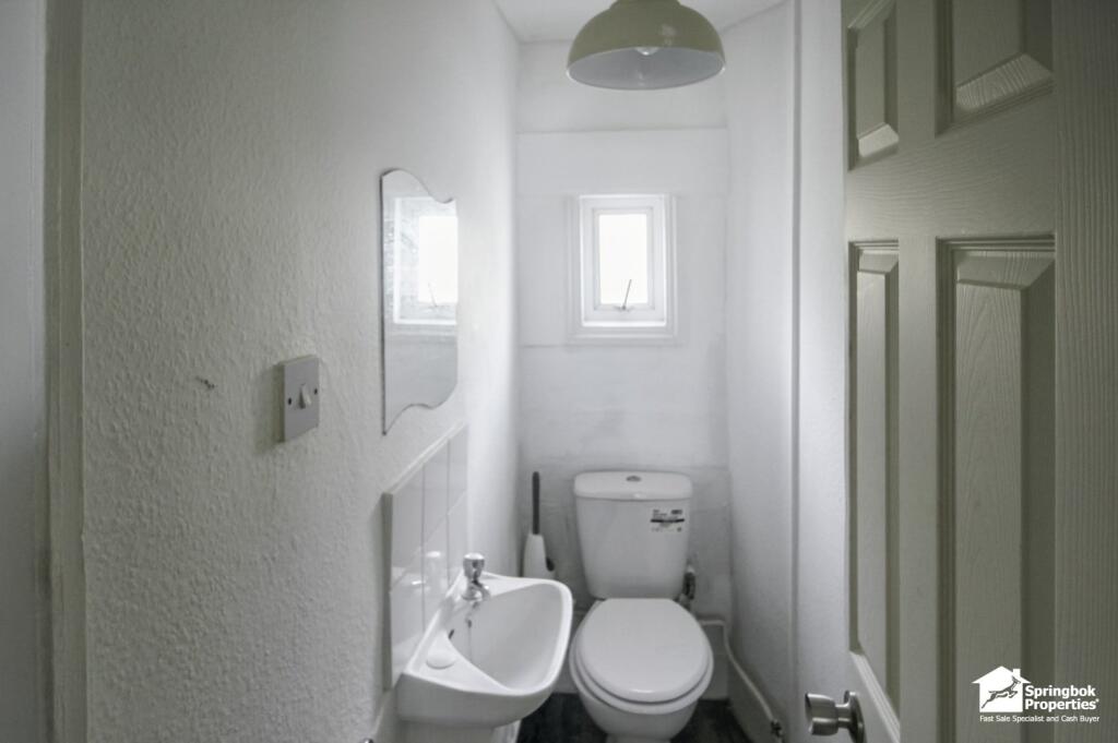 IMAGE 8