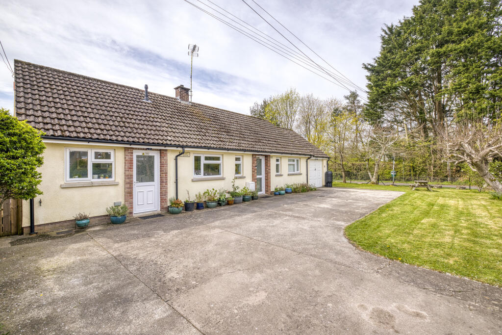 Primrose Corner, Street (April 25 updates)-6