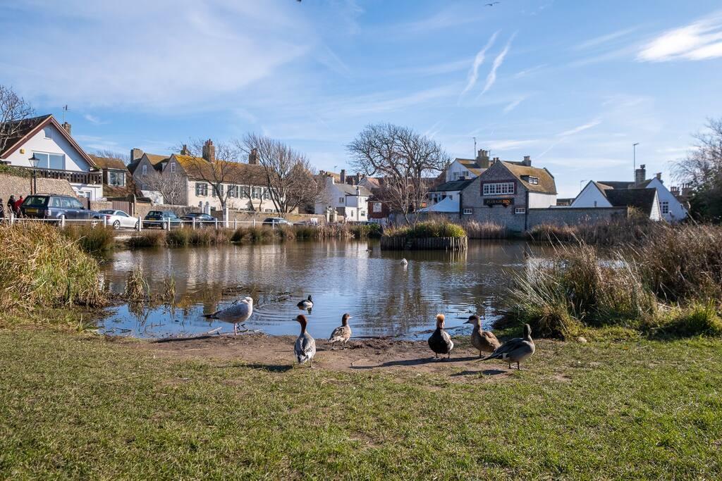 Village Pond.jpg