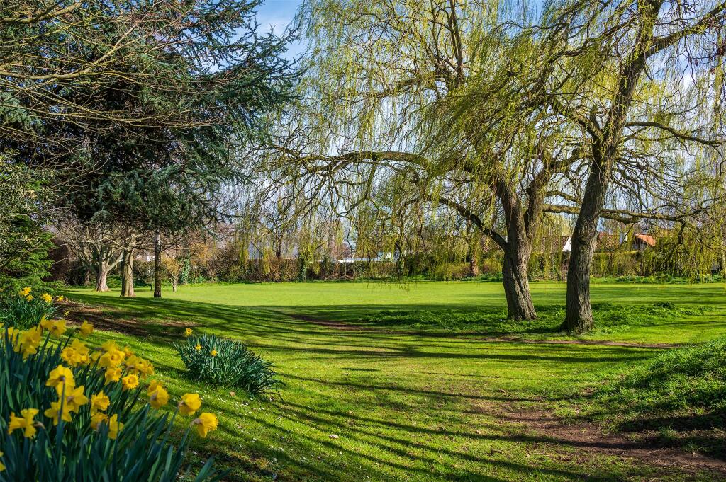 Local Park