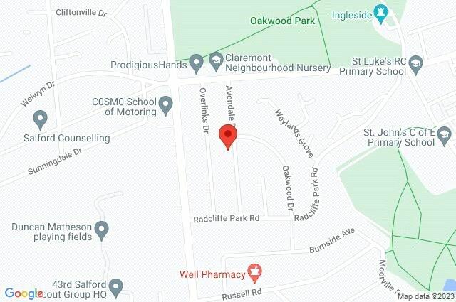 Google Maps Image