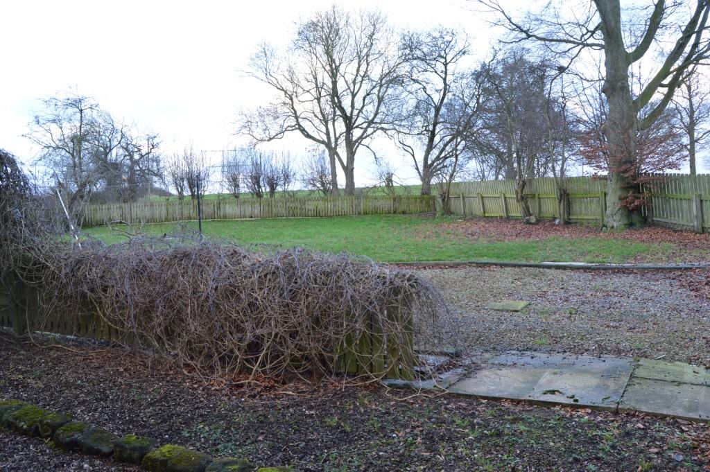 Rear garden/outlook