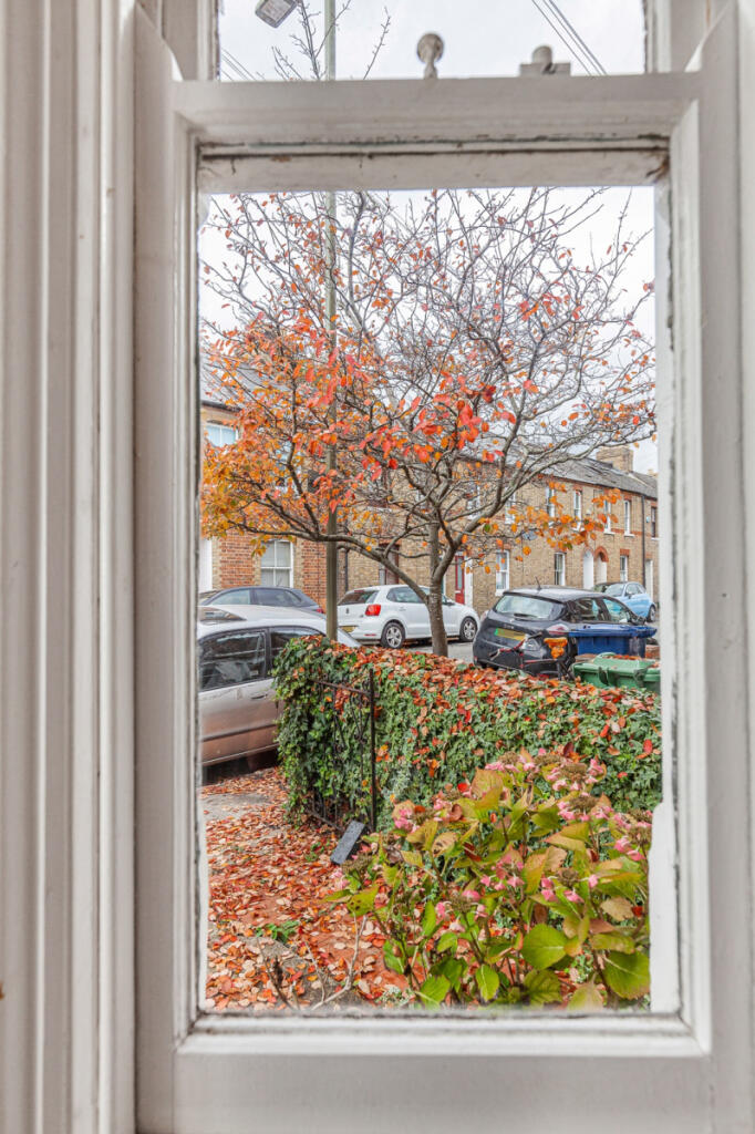 Window