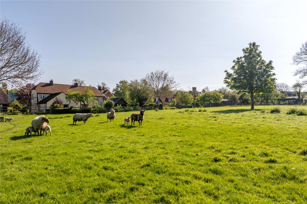 Paddocks