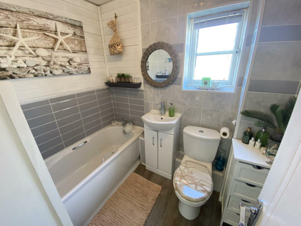 IMG_0572 (Large).JPG