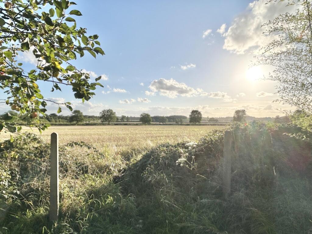 View from Rear Garden