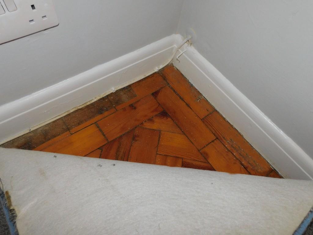 Solid Wood Flooring
