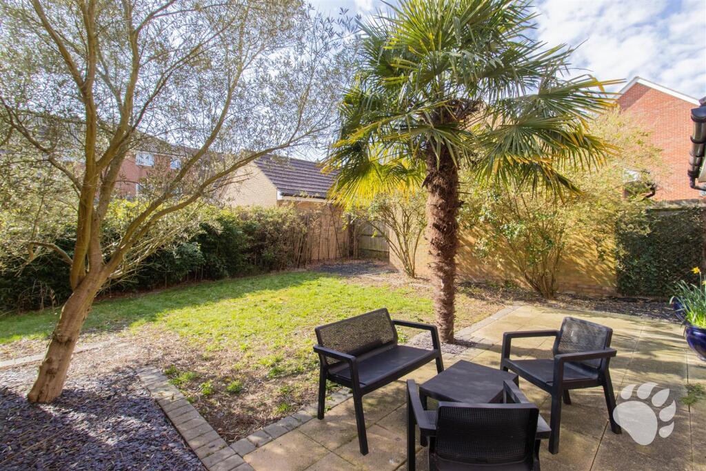 South Facing Garden