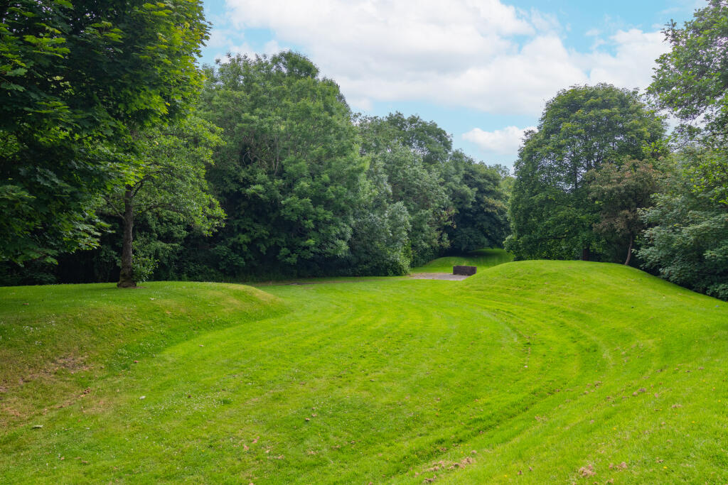 Common Lawn