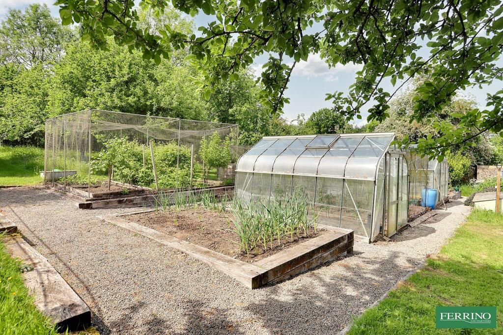 Vegetable Garden