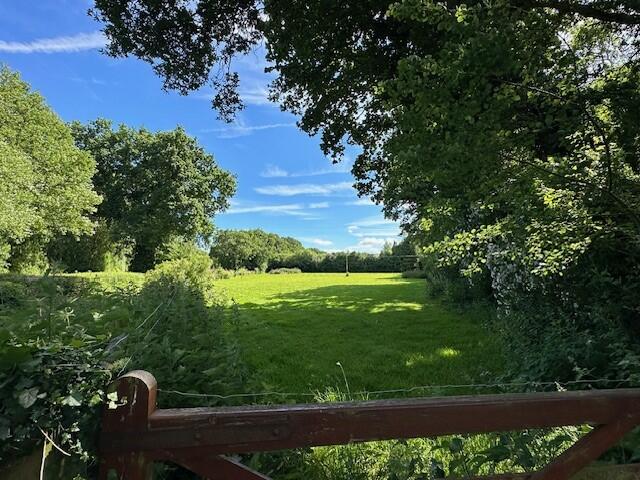 Z40 T202406281016.jpg