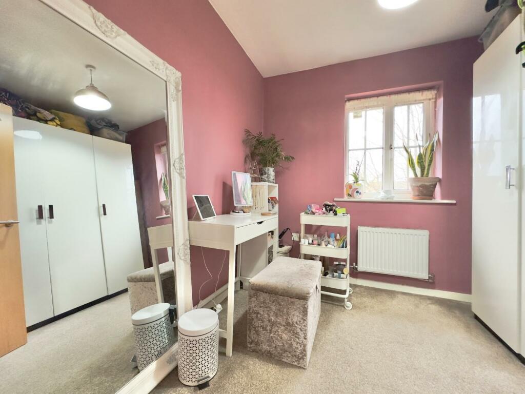 IMG_0599.jpeg