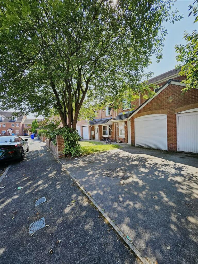 PHOTO-2024-08-02-16-02-41 2.jpg