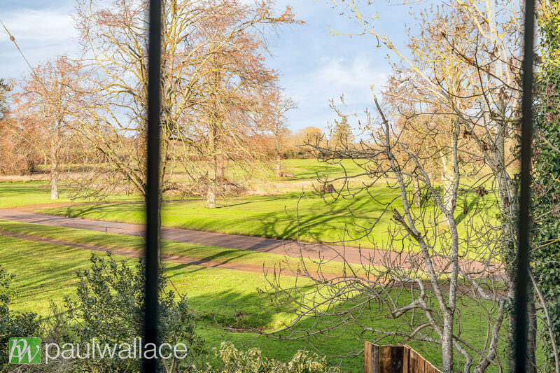 View from Bedroom