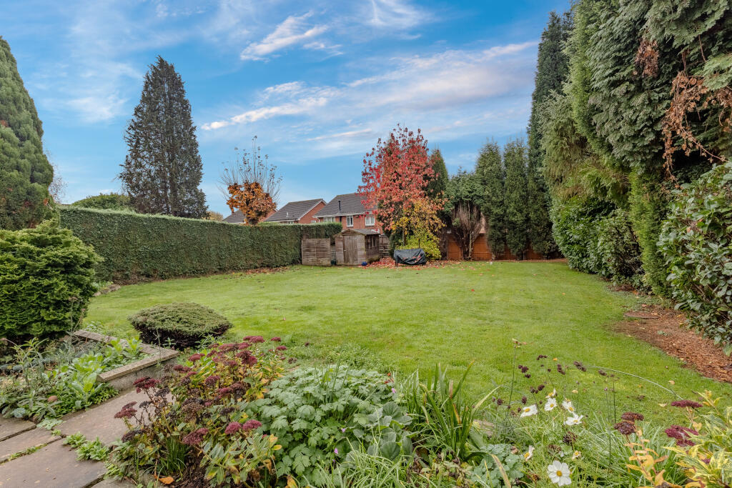 Garden (3)