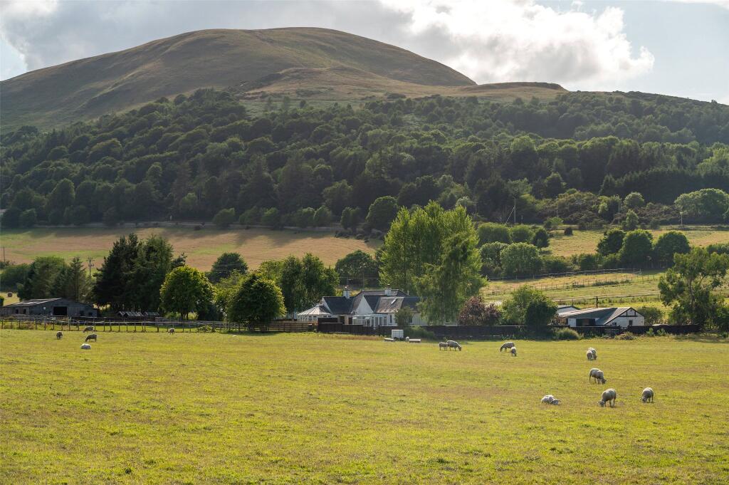 Local Views