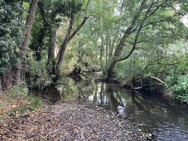 River b