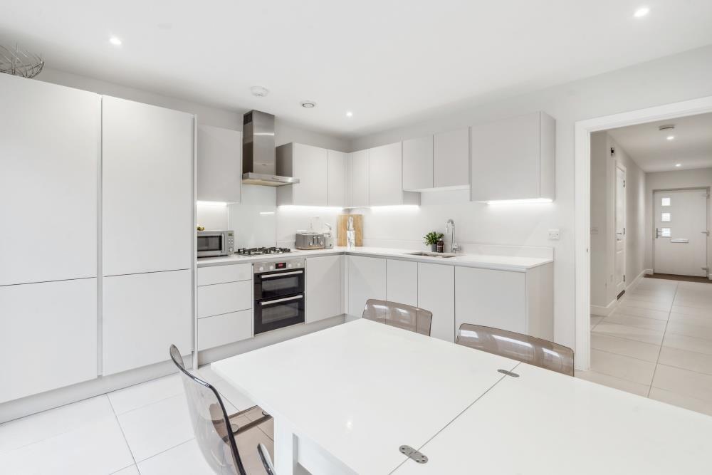 DSC00598 - 800px.jpg