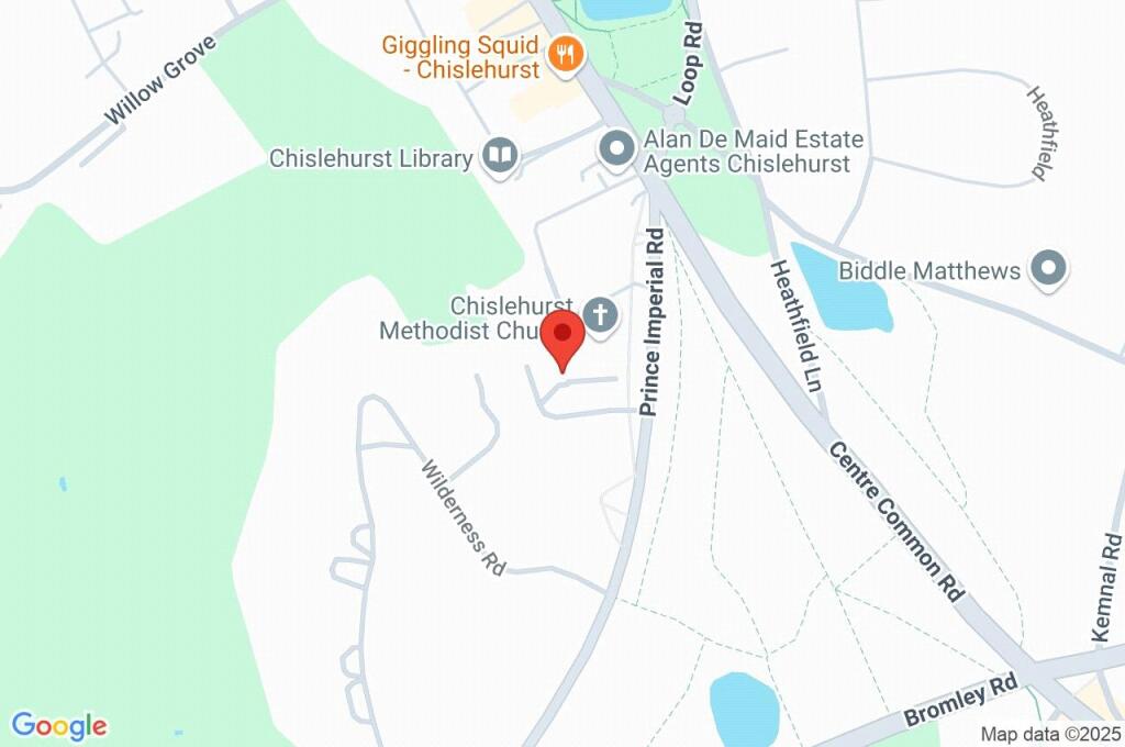 Google Maps Image