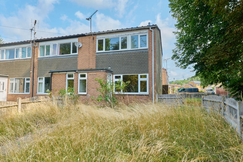 P1518239 T202508061922.jpg