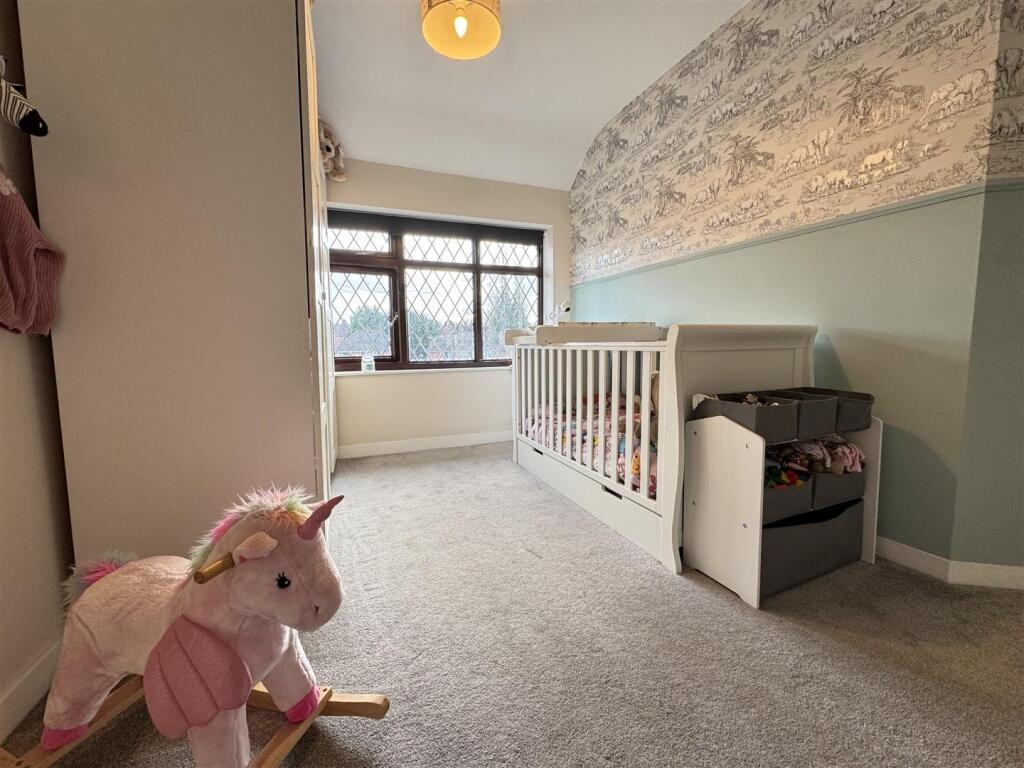 IMG_1564 (Large).JPG