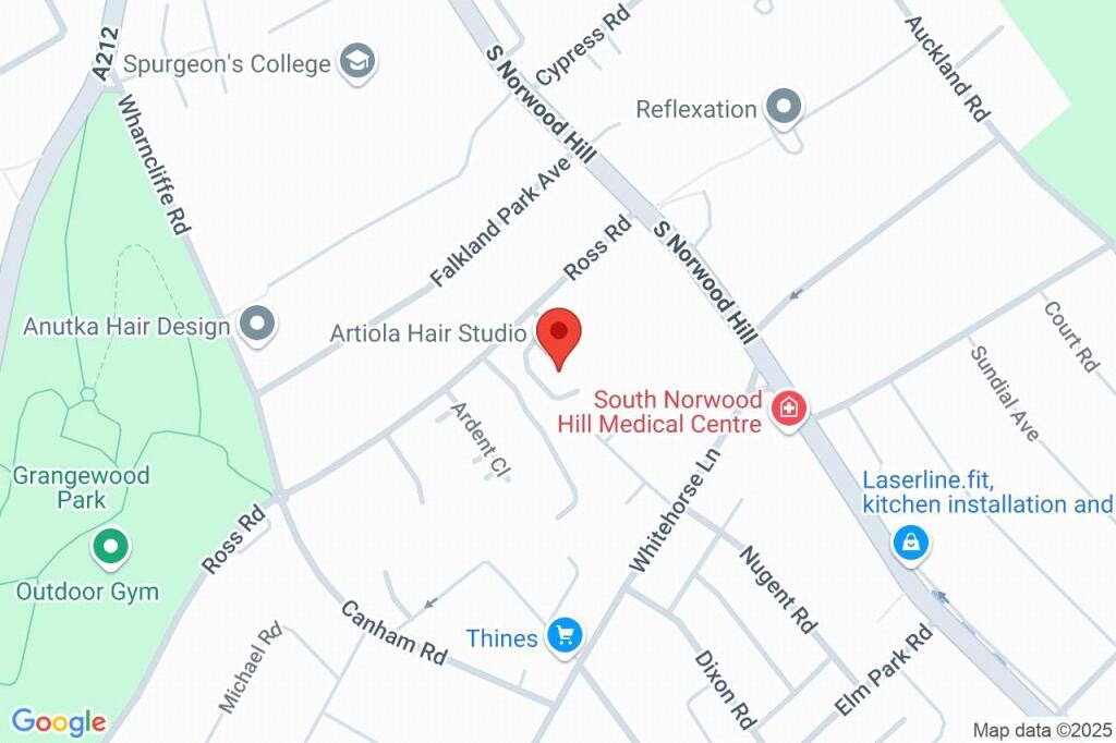 Google Maps Image