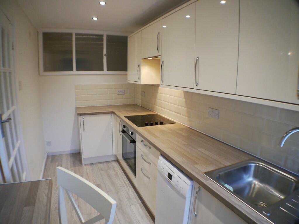 Modern Kitchen (Thum