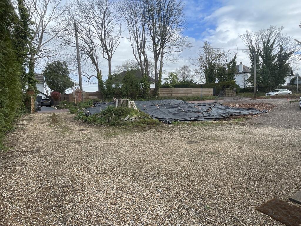 IMG 6048 T202504171736.jpeg