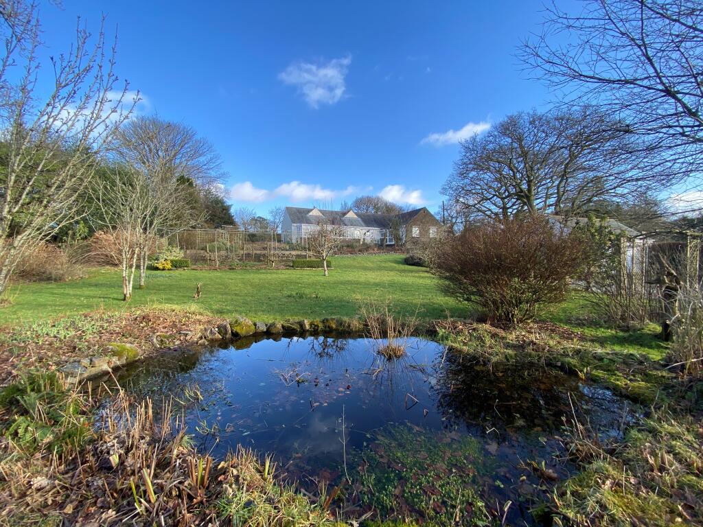 View from pond up to the house