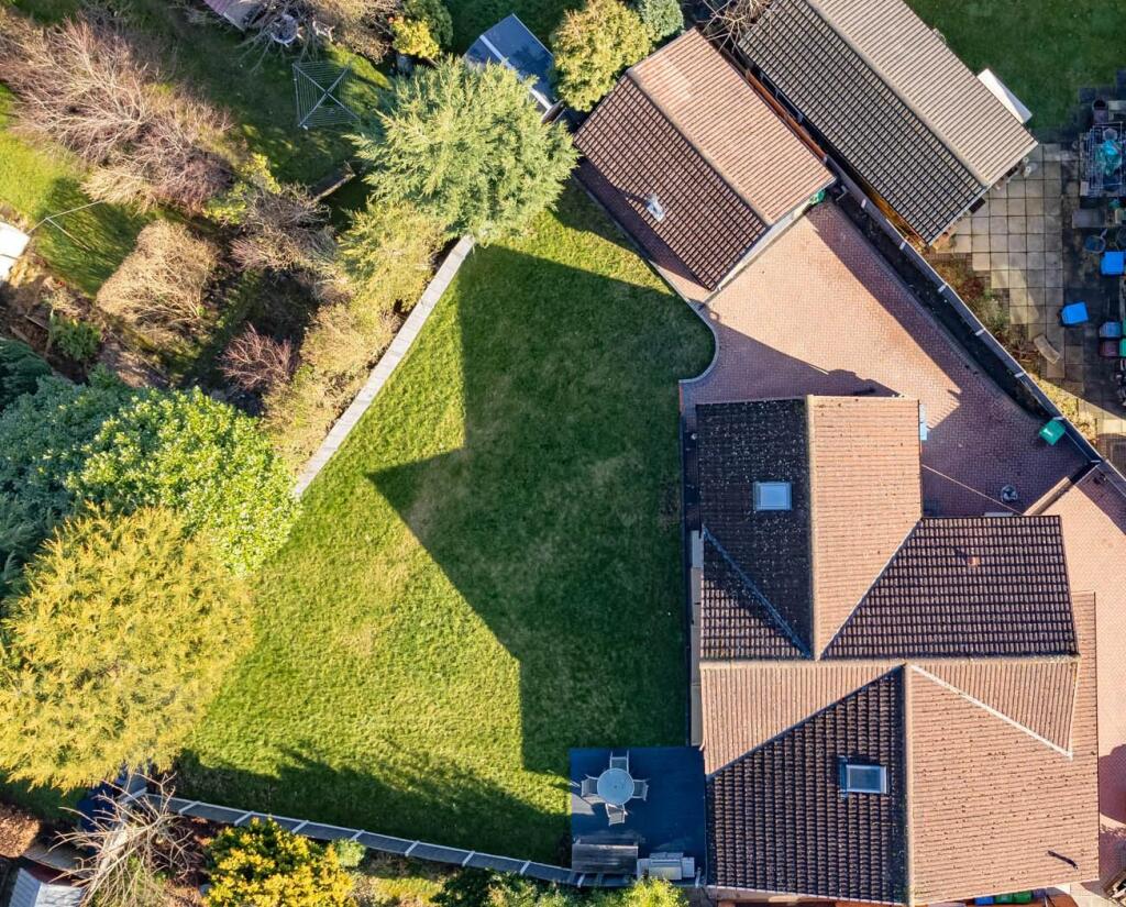 Ariel View