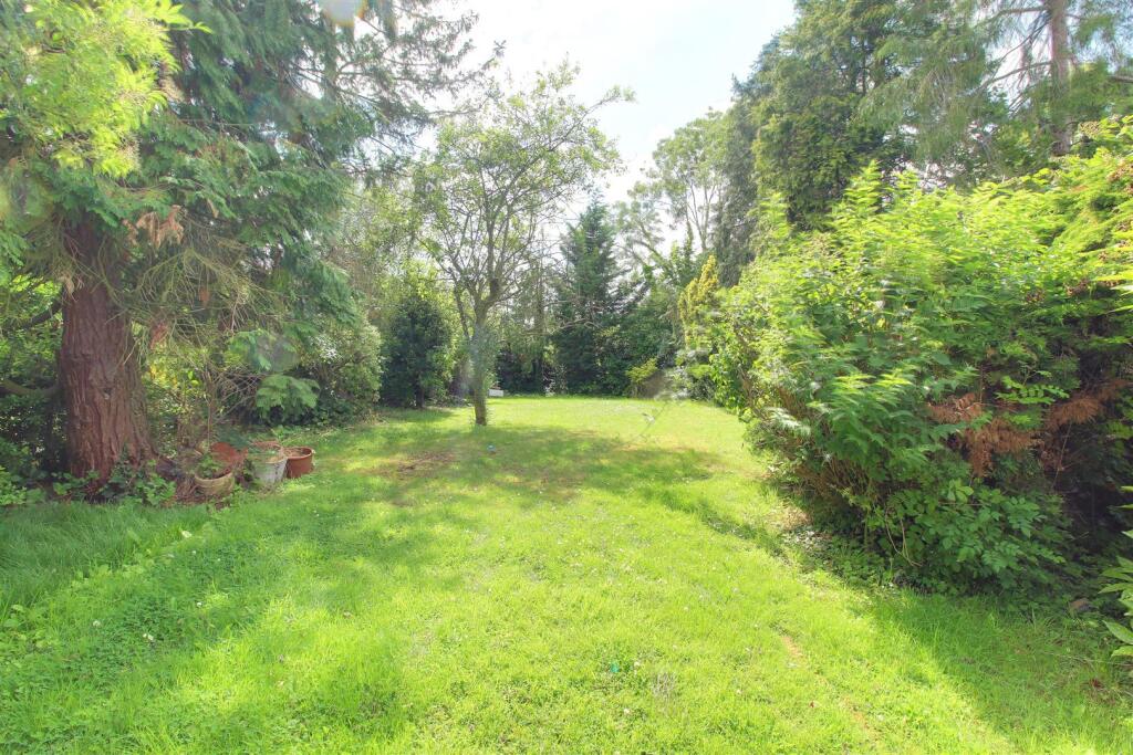 IMG_3757-IMG_3759 copy.jpg