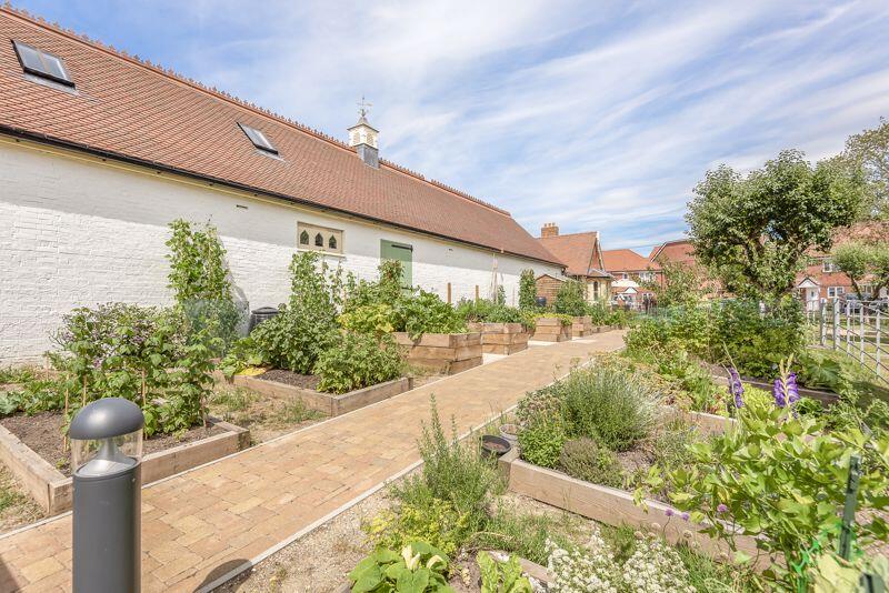 Vegetable garden