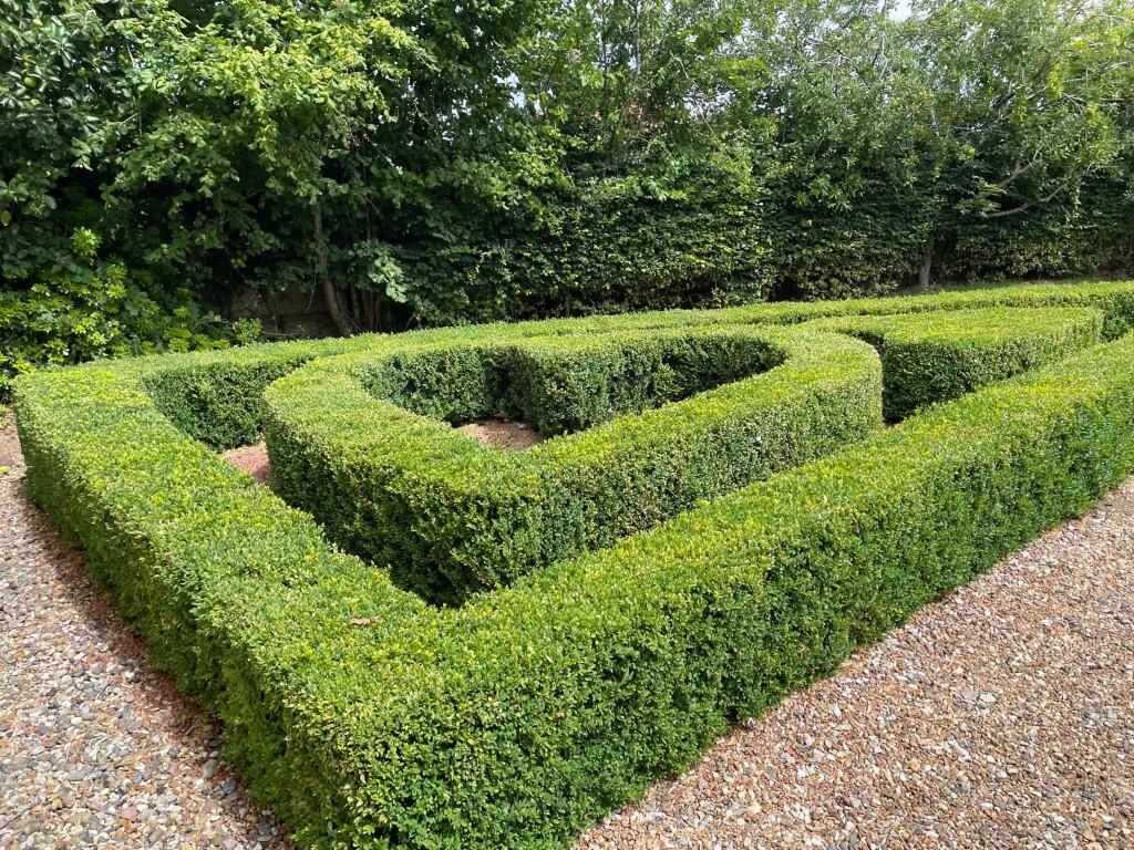 20250801 082504000 IOS 2  Medium  T202508111721.jpg