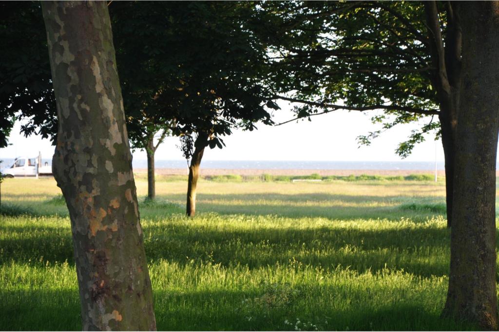 Beach View