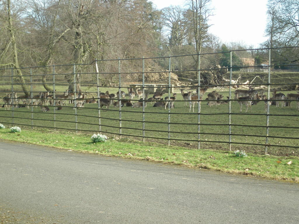 Deer Park
