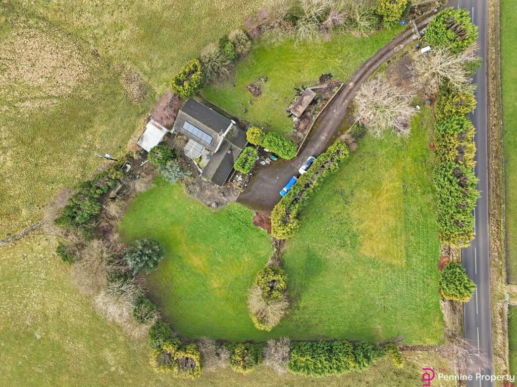 DJI_20240201111738_0942_D.jpg