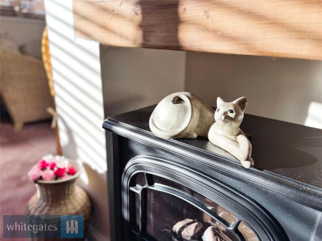 Homely