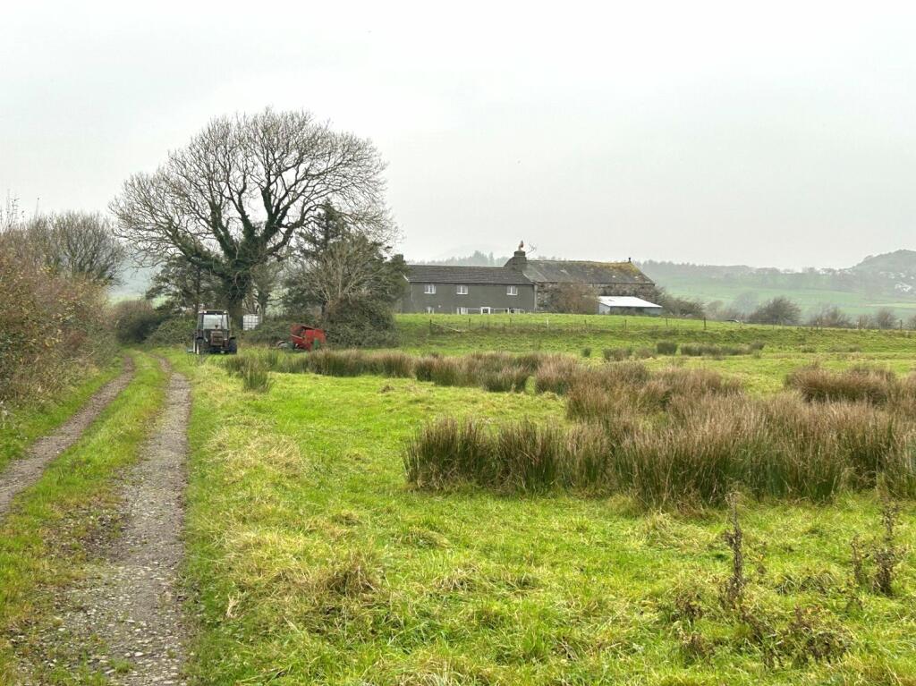 Picture No. 16