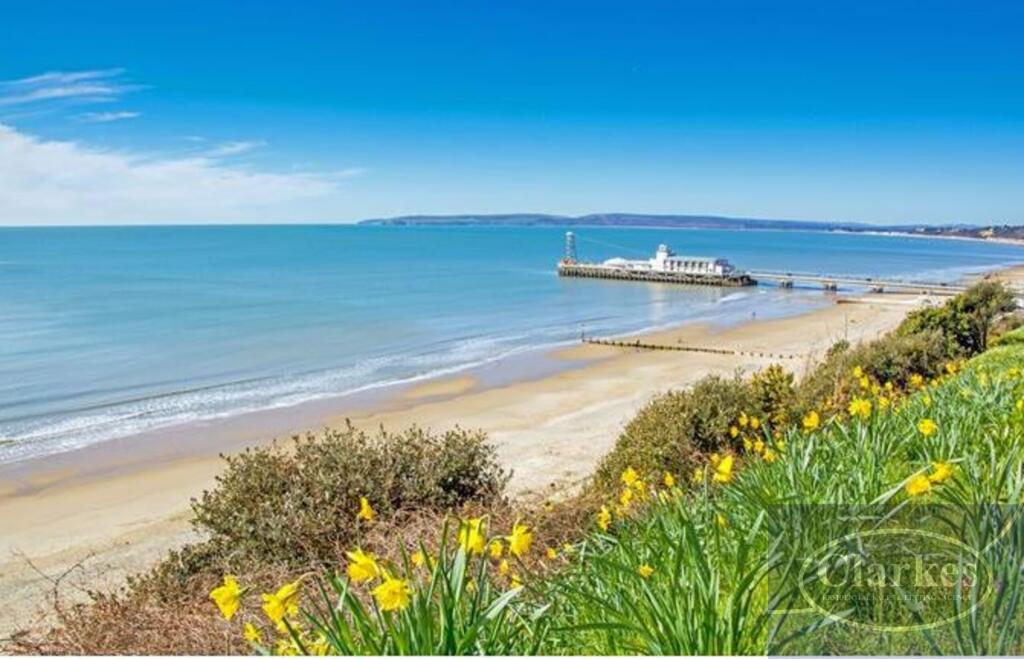Bournemouth beach spring.JPG