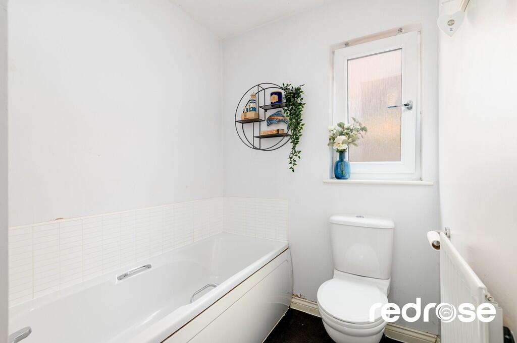 web_16 Old Thorns...