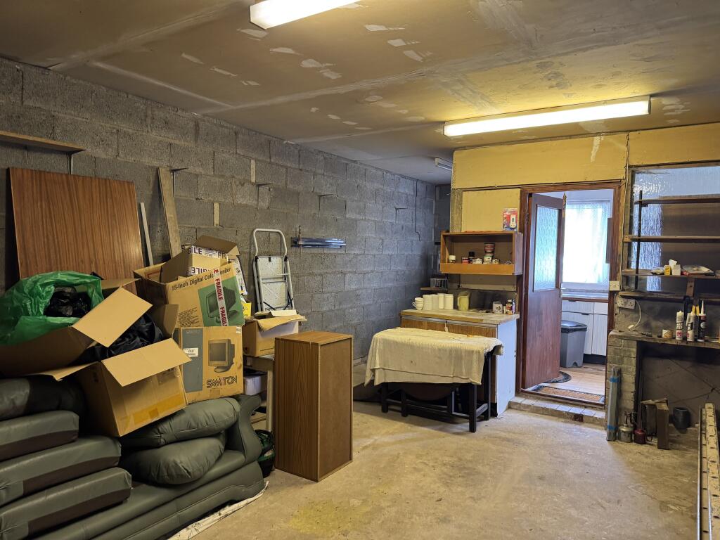 IMG 8447 T202509161024.jpeg